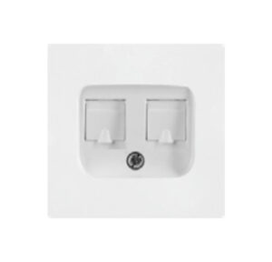 Data + Tel Socket